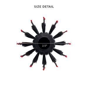 Static Free RPM 12XL Row Deluxe Boar Brush