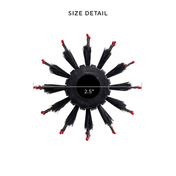 Static Free RPM 12XL Row Deluxe Boar Brush