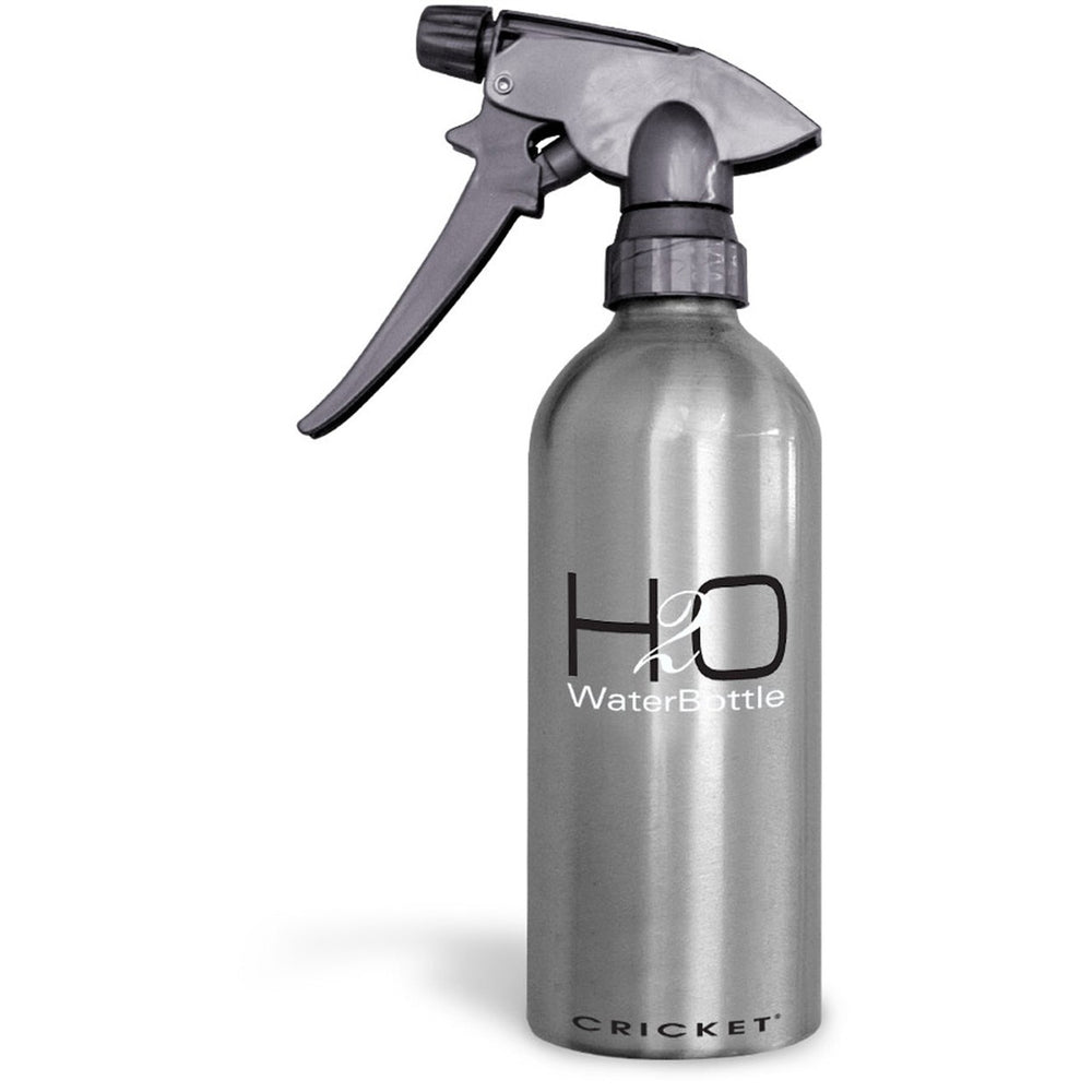 H2O Aluminum Water Bottle Holds 14 oz
