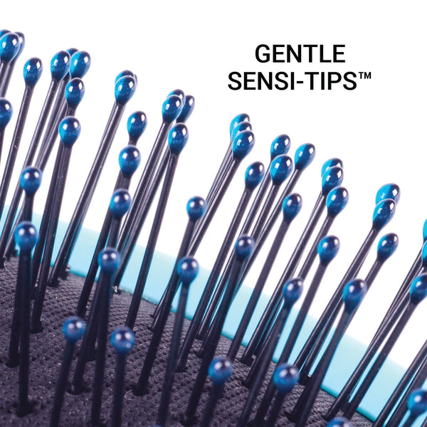 Splash Blackout Detangling Brush Collection