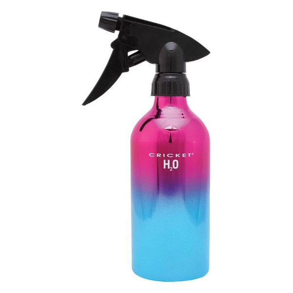 Simply Cosmo Aluminum H2O Bottle Holds 14 oz