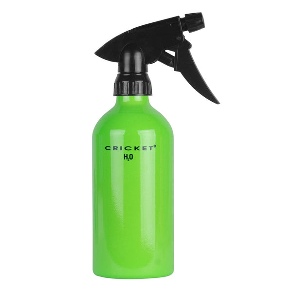 Aluminum Neon H2O Bottle Holds 14 oz
