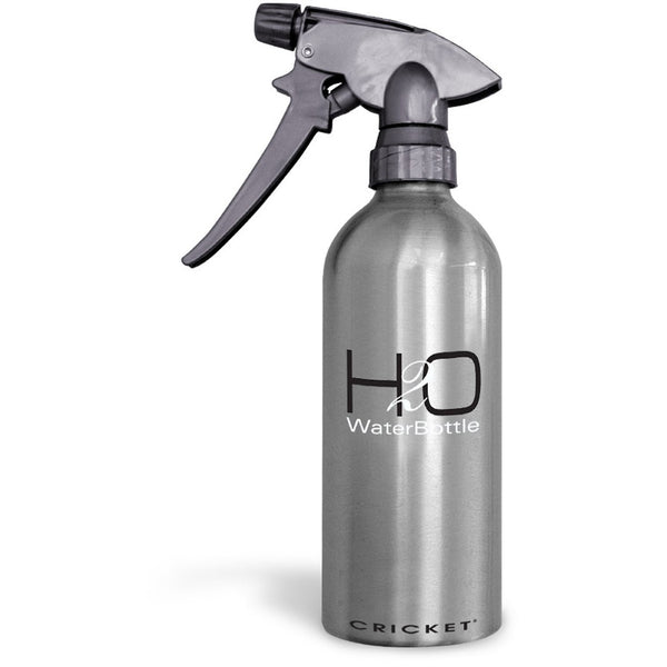 H2O Aluminum Water Bottle Holds 14 oz
