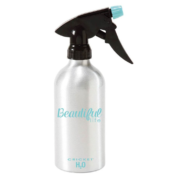 Looking Good Aluminum H2O Bottle Holds 14 oz