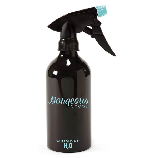 Looking Good Aluminum H2O Bottle Holds 14 oz