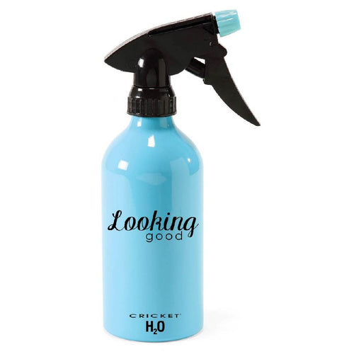 Looking Good Aluminum H2O Bottle Holds 14 oz